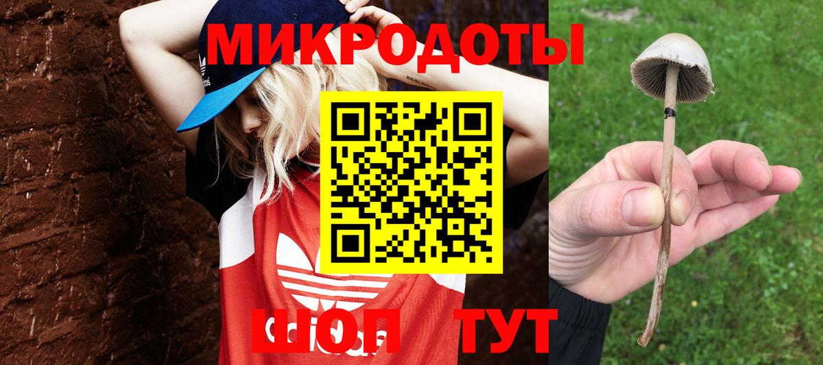 Галлюциногенные грибы Cubensis  Галлюциногенные грибы мухоморы  Стрежевой  Вход с VPN 